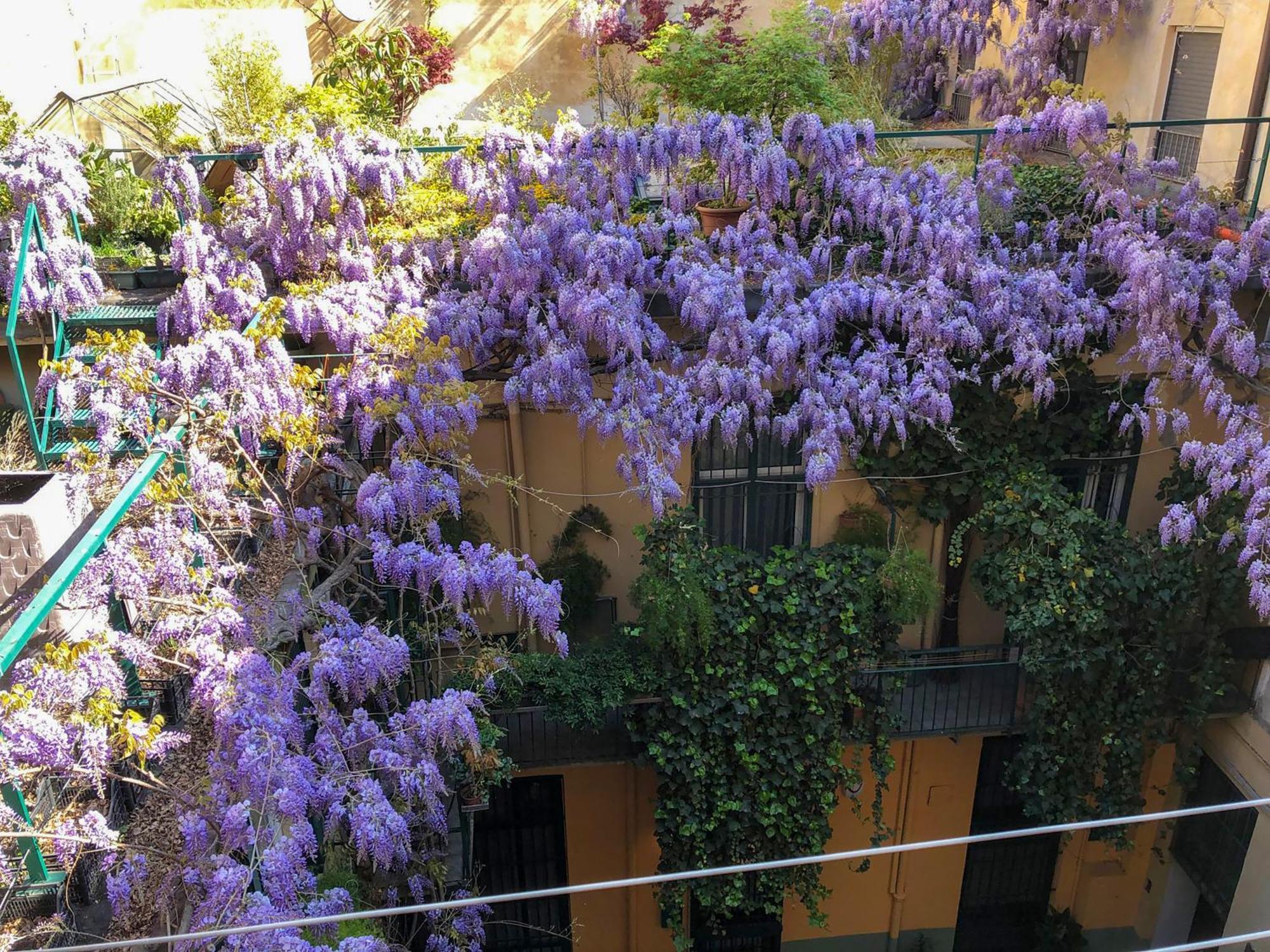 Апартаменты La Casa Degli Angeli Турин Экстерьер фото